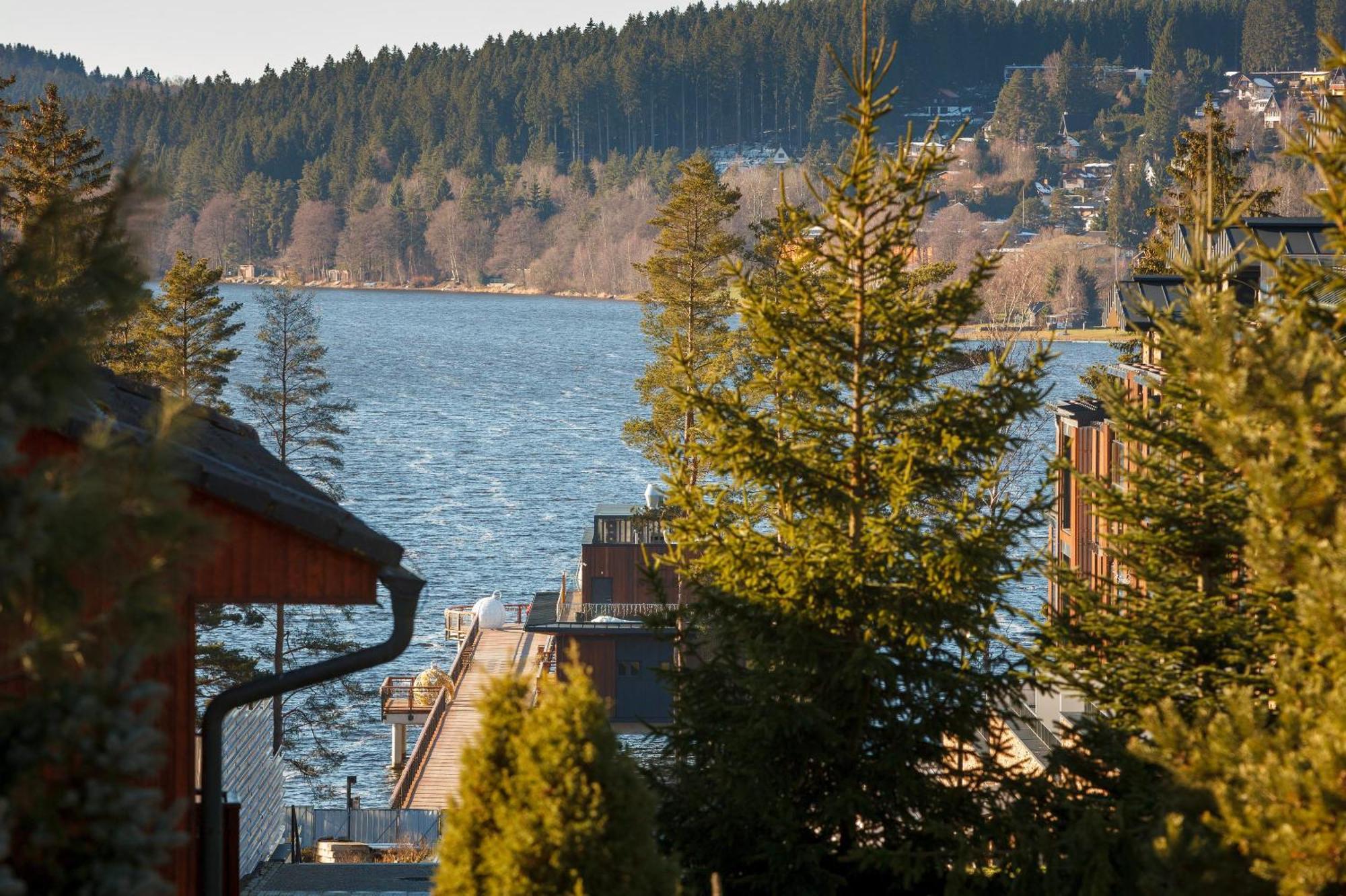 Vila Rozinka Lipno Lipno nad Vltavou Exteriör bild
