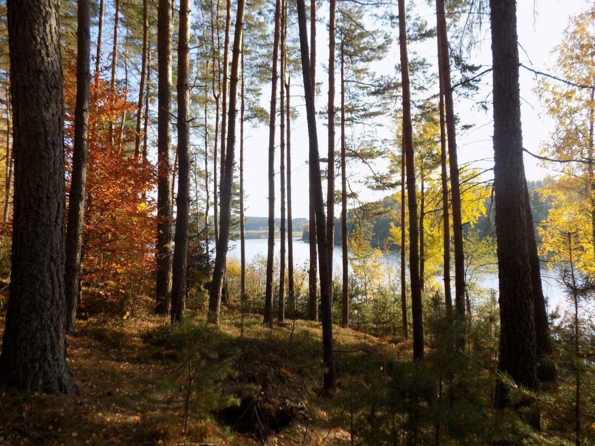 Vila Rozinka Lipno Lipno nad Vltavou Exteriör bild